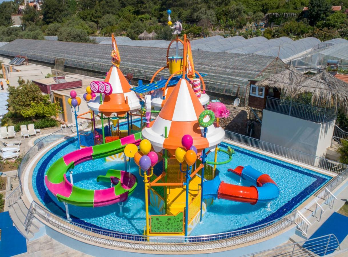 Alaiye Resort & Spa Hotel Avsallar Εξωτερικό φωτογραφία